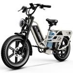 Auloor Dual Battery Electric Bike, 160-Mile Range