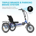 ZYCLE Z500 Electric Semi-Recumbent Trike, 750W