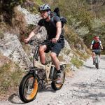 Folding 1000W Electric Bike with Large Battery