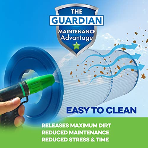 Pool & Spa Cartridge Filter Replacement (2 Pack)