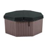 AquaLife Invi 5-Person Plug-and-Play Hot Tub