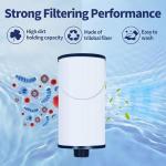 Spa Filters for Watkins and Lifesmart Hot Tubs