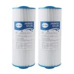 AMIBRON 2-Pack Hot Tub Filter for Marquis Spas