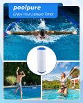 POOLPURE Spa Filter Cartridge for Hot Tubs