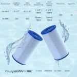 Malaka Spa Filter Cartridge 2-Pack, PRB35-IN-Compatible