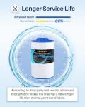 POOLPURE Spa Filter for Master Spas Twilight