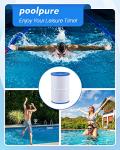 POOLPURE Oval Spa Filter for Dream Maker Hot Tubs