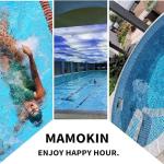 Mamokin C-4335 Hot Tub Filter 2 Pack