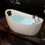 Empava Oval Hot Tub with 7 Hydro Massage Jets