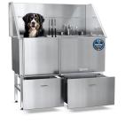 Stainless Steel Dog Bathing Station with Ramp