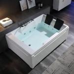 Empava Couples Hydro Massage Whirlpool Bathtub