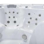 Bueno Spa Chicago 7-Person Hot Tub with Jets