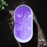 ANZZI 67" Air Jetted Whirlpool Bathtub with LED