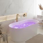 ANZZI 67" Air Jetted Whirlpool Bathtub with LED