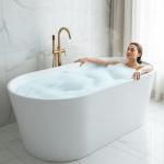ANZZI 67" Air Jetted Whirlpool Bathtub with LED