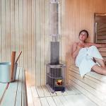 ALEKO Wood Burning Sauna Heater with Chimney Kit