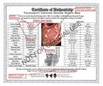 100% Japanese A5 Kagoshima Wagyu Beef Ribeye Block (11-12 Pound)