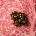 PETRUSCO Japanese A5 Wagyu Ribeye Steaks – Premium Pasture-Raised Beef – Tender Steak Meat, Rich Marbling, Nutrient-Rich, Expertly Cut & Flash Frozen for Freshness – Authentic Gourmet Cuisine – (2x8oz)