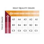 Authentic Japanese A5 Wagyu Ribeye Steak 1.5lbs
