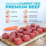 Santa Carota Grass Fed Ground Beef 70% Lean / 30% Fat, Carrot-Finished, Grass-Raised, Bulk Hamburger Meat | Perfect for Burgers, Family Pack Frozen Food (10-1lb packages)