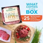 Richards Regenerative Premium Grass-Fed Ground Beef, 85% Lean / 15% Fat – Frozen Family Pack Perfect for Burgers (25-1lb Packages)