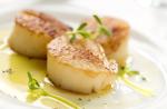 New York Steak & Seafood Jumbo Scallops - Frozen Sea Scallops - Wild Caught Fresh Dry Scallops without Water Added (20 lbs. Scallops)
