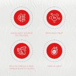 Wagyu Beef Ground Meat Bundle - 10 Packs