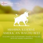 Wagyu Beef Ground Meat Bundle - 10 Packs