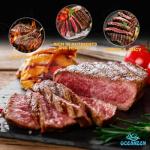 OCEANZEN USDA Prime Ribeye Steak – Hand-Cut & Aged – Pack of 6 (10oz Each) – Buttery Texture & Intense Marbling – Premium Beef for Grilling & Fine Dining 60 oz (3.75 lbs) Box
