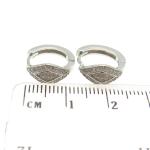 Sterling Silver Round Cut CZ Diamond Hoop Earrings