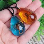 Natural Scorpion Inclusion Amber Baltic Pendant Necklace Set