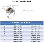 Yemeni Agate and Silver Flower Vine Ring