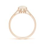 Elegant 0.8 Ct Opal Ring in Rose Gold