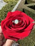 Rose Gold Split Shank Opal and Diamond Halo Ring