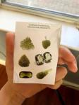 Moldavite Ring 925 Sterling Silver Handmade Natural Rough Gemstone Jewelry For Her (9)
