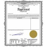 Galaxy Gold GG 14k.8 CTW 14k 16" Solid Gold Necklace Briolette Dyed Ruby Pendant