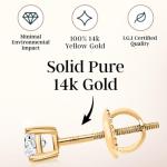 Lab Grown Diamond Stud Earrings in 14k Gold