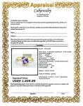 GENUINE 2.45 Cts AMETHYST & DIAMONDS RING 10K GOLD * Free Appraisal Service -NWT