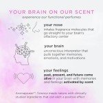 Pacifica Mood Moons Vegan Perfume Set, 5 Mini Sprays