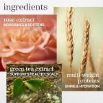 Pureology Hydrate Shampoo for Soft, Moisturized Hair