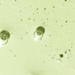 OSEA Hyaluronic Acid Sea Serum 1 oz - Anti-Aging Face Moisturizer - Non-Toxic Seaweed Skincare - Clean, Vegan & Cruelty-Free - Skin Hydration with Hyaluronic Acid