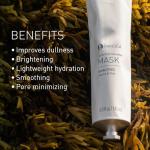 Pangea Organics - Natural Matcha + French Clay Superfood Smoothie Face Mask | Vegan, Non-Toxic, Sustainable Clean Beauty (Aluminum Tube, 4.9 oz | 145 ml)