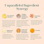 Hylunia Beyond Complex C Vitamin C Serum, 1.0 fl oz - Hydrating, Anti-Aging, Brightening & Nourishing with Hyaluronic Acid - Vegan, Clean & Cruelty-Free Skincare for Radiant Skin