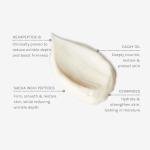 Evolve Organic Beauty - Age Defying Multi Peptide Cream | Firm, Smooth, Moisturize, Nourish | Sacha Inchi Peptides, Ceramides | Vegan, Clean, Cruelty-Free Beauty (2 fl oz | 60 mL)