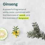 ATTITUDE Body Cream, EWG Verified Moisturizer, Vegan Moisturizing Products For Dry Skin, Dermatologically Tested, Ginseng and Grapeseed Oil, 8 Fl Oz (Pack of 6)