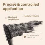 ATTITUDE Oceanly Brown Makeup Set, EWG Verified Eyeshadow and Lash Serum Infused Mascara, Vegan Beauty, Set of 3 Products