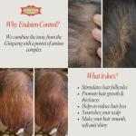 ENDOTEN CONTROL Lotion 200 ml - 90 Days Challenge for Stronger, Healty and shiny hair. Gingseng and Amino Acids with Protein complex. Vegan hair care. Capilar Lotion. Natural hair growth.