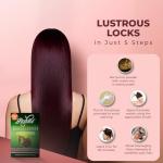 Reshma Beauty 30 Minute Henna Hair Color Infused with Organic Henna Lawsonia Inermis 100% Gray Coverage for Soft, Shiny Hair, Plant-Based Hair Dye—12.6 oz Pack of 12 (Burgundy)