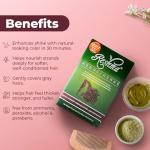 Reshma Beauty 30 Minute Henna Hair Color Infused with Organic Henna Lawsonia Inermis 100% Gray Coverage for Soft, Shiny Hair, Plant-Based Hair Dye—12.6 oz Pack of 12 (Burgundy)