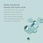 EVOLVh - Natural UltraShine Moisture Shampoo | Vegan, Non-Toxic, Clean Hair Care (33.8 fl oz | 1L)